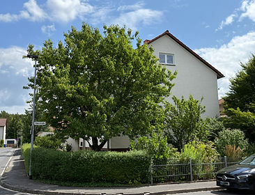 IMG_1156.jpeg