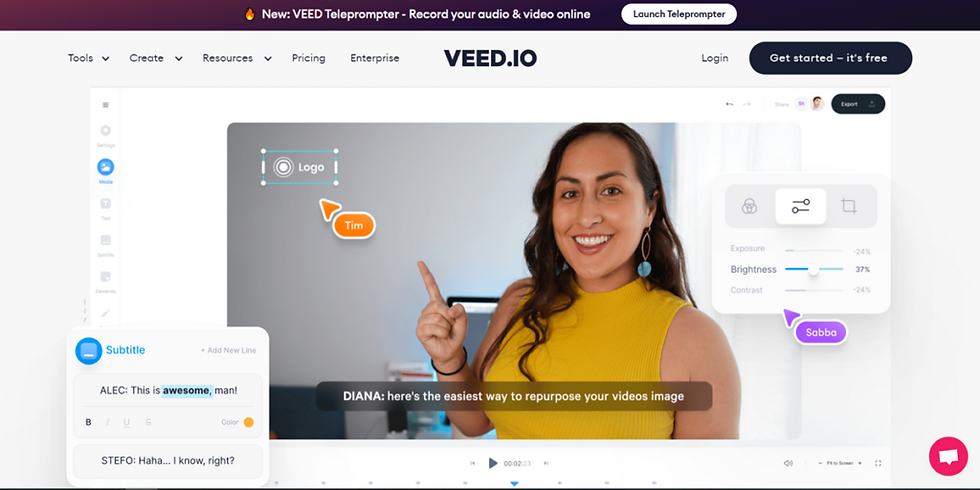 Veed IO AI Video And Audio Editing Tool
