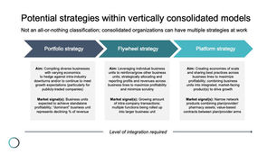 Differentiating among vertical consolidation strategies