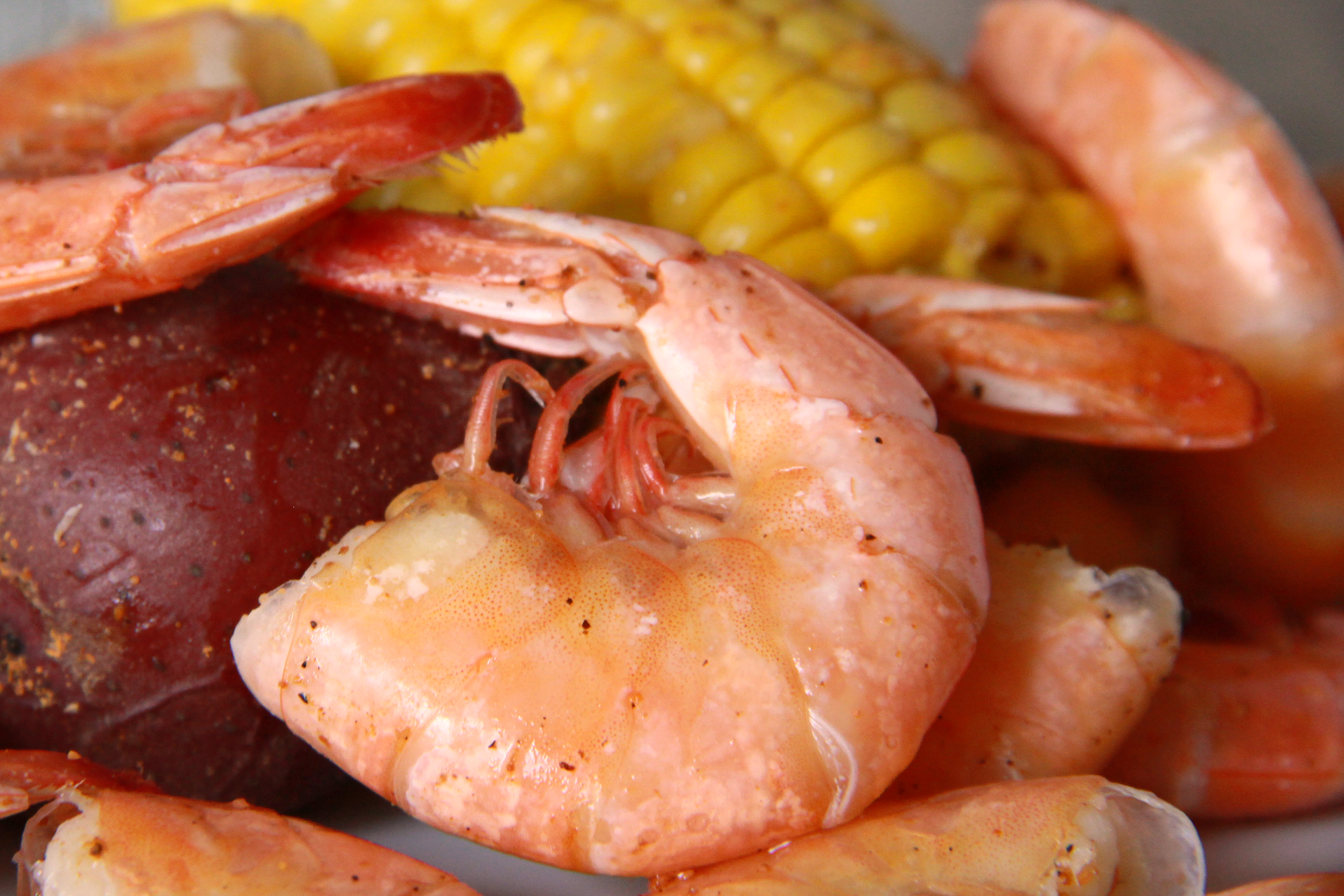 Arranged Food and Objects