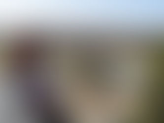 A Love Letter to Verona