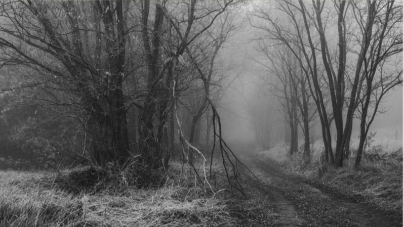 Camino desconocido y oscuro