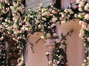 Chic Places: Loveshackfancy On Melrose Place