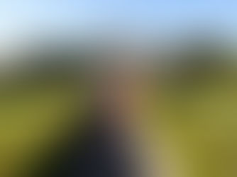 Chic Places: Wine Tasting In Napa Valley