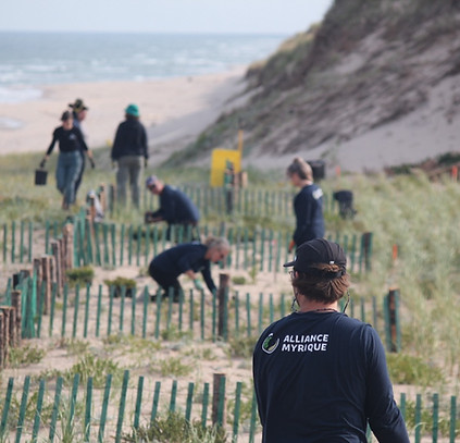 Techno bleues-6.jpeg