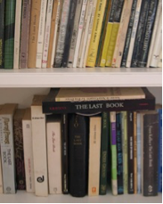 Ultimo libro - livro.png