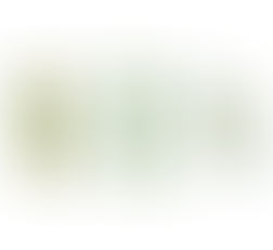 ブラックジャックの必勝法、カードカウンティング