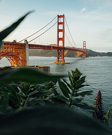 Primer Sazze Venture Capital - Silicon Valley
