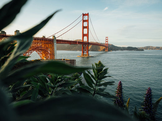TOP 10 MUST-SEE SPOTS IN SAN FRANCISCO