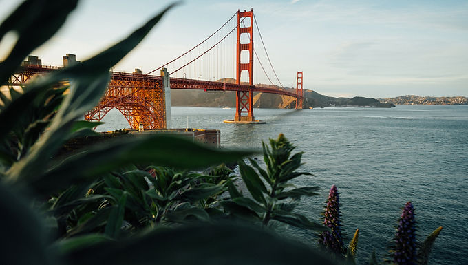 San Francisco & Reno
