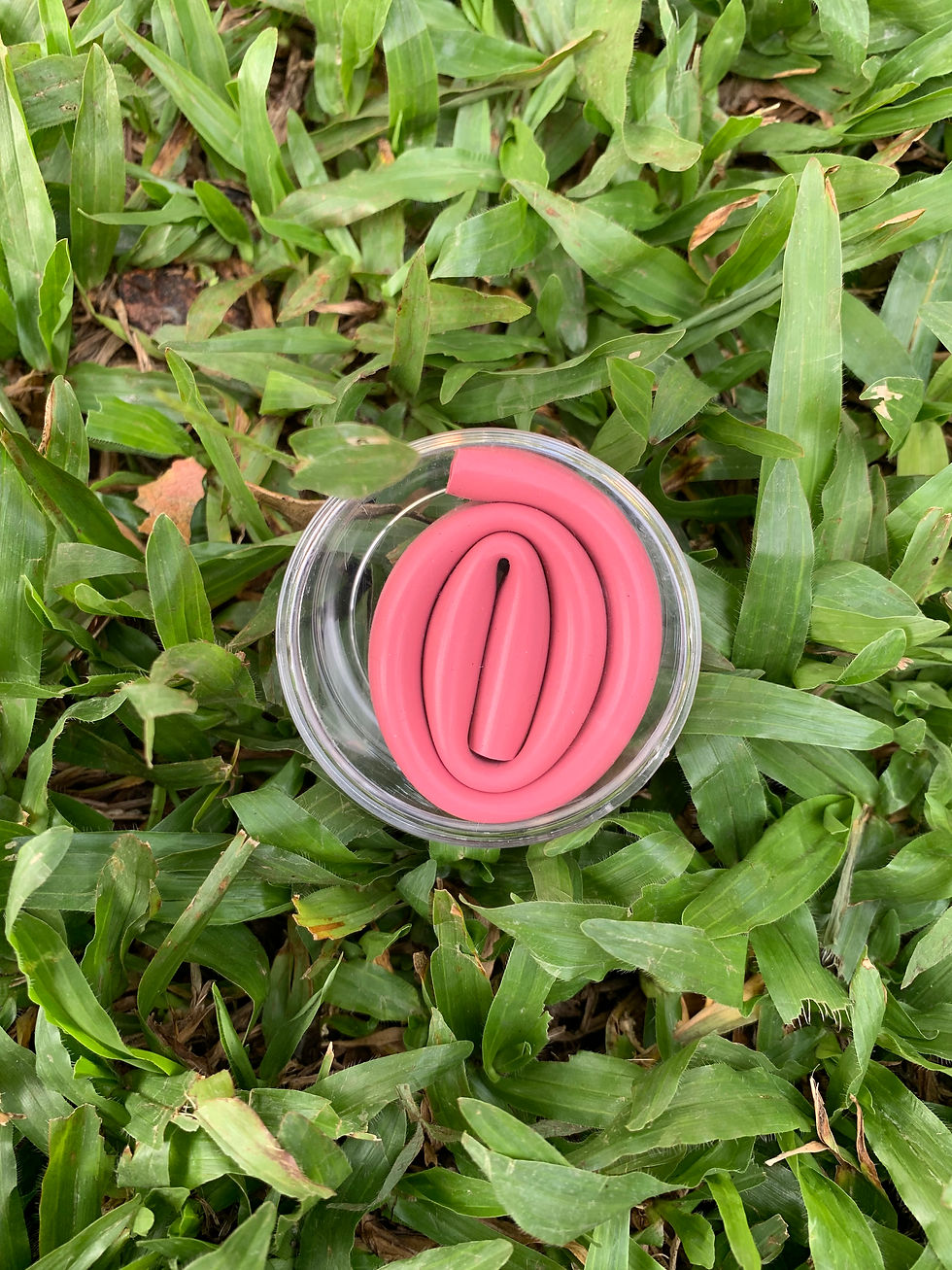 Miniatura: Kit canudo silicone [normal]