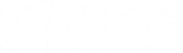 STA Primary Logo_White.png