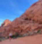 Saying hi to a new friend at Valley of Fire State Park, Moapa Valley, NV, March 2026