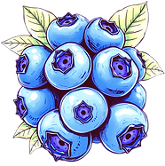 cluster of blueberries_edited_edited.png