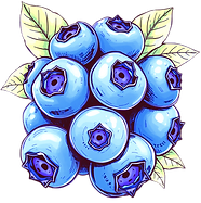 cluster of blueberries_edited_edited_edi