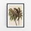 Thumbnail: Palm Breeze in Ivory Art Print