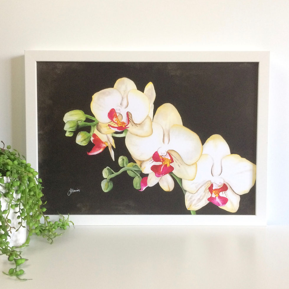 Thumbnail: Orchid Black Living Art Print