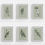 Thumbnail: Rosella Australian Bird Art Print in Willow Green