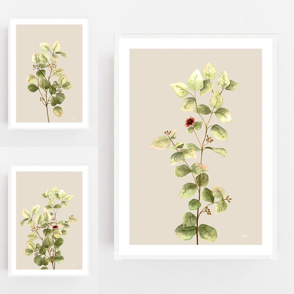Thumbnail: Eucalyptus Native Living 3 in Ivory Fine Art Print | FRAMED
