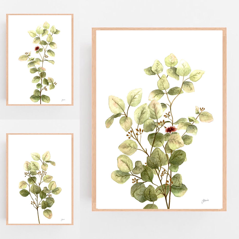 Thumbnail: Eucalyptus Native Living 1 in White Fine Art Print | FRAMED