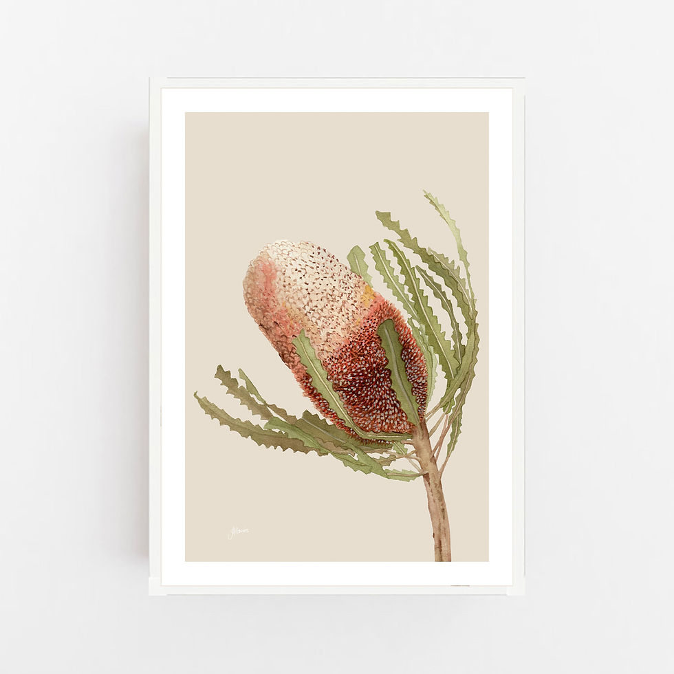 Thumbnail: Banksia Native Living Art Flower 1 in Ivory Fine Art | FRAMED