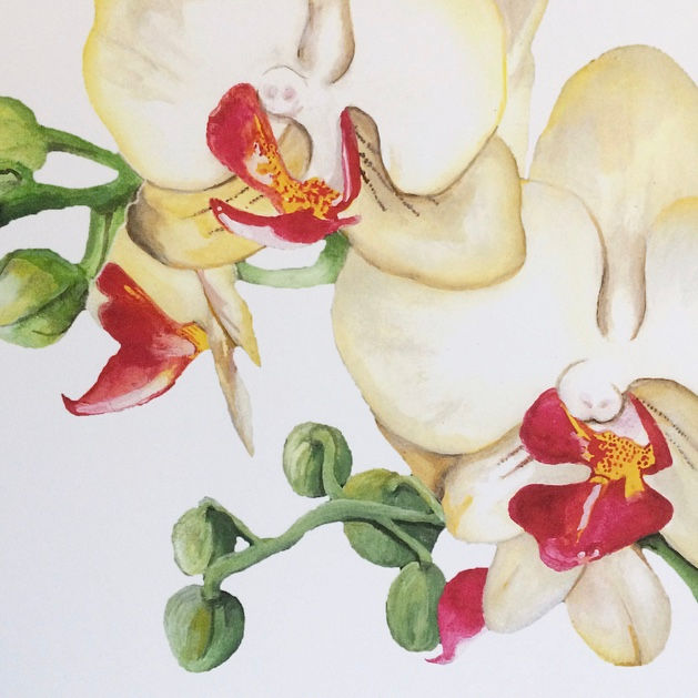 Thumbnail: Orchid White Living Art Print