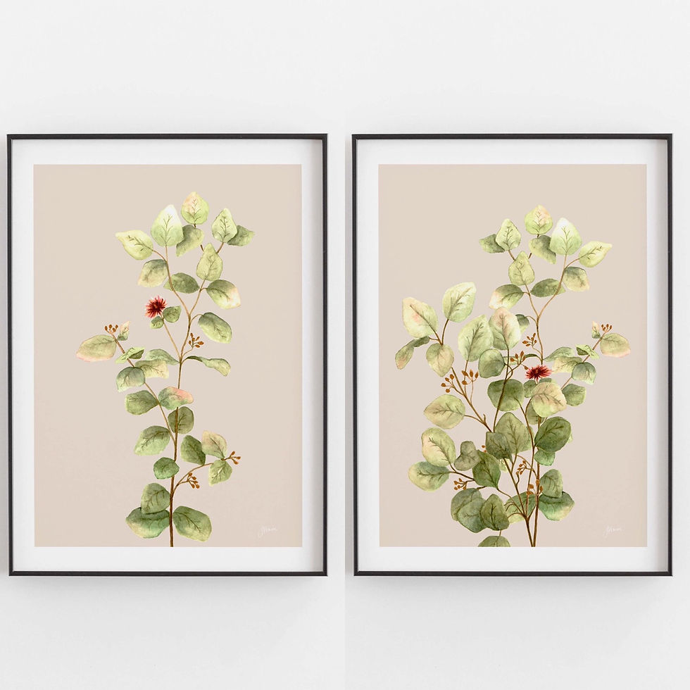 Thumbnail: Eucalyptus Native Living Art 3 in Ivory Art Print