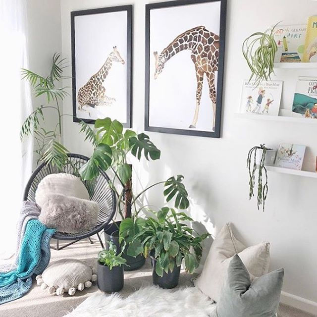 Thumbnail: Amber the Giraffe Fine Art Print | FRAMED