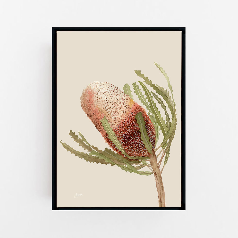 Thumbnail: Banksia Native Living Art Flower 1 in Ivory | CANVAS