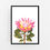 Thumbnail: Protea Living Fine Art Print | FRAMED