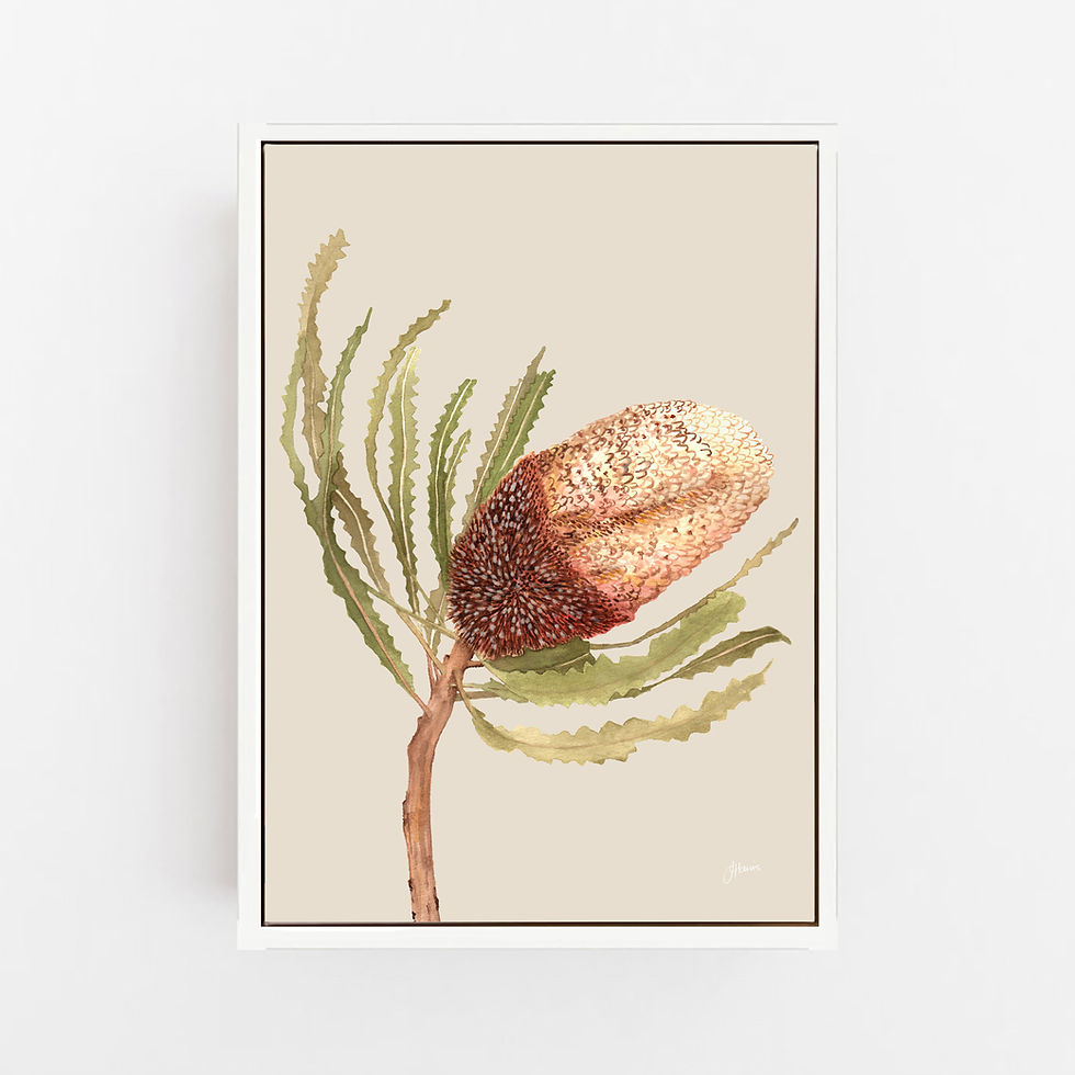 Thumbnail: Banksia Native Living Art Flower 2 in Ivory | CANVAS