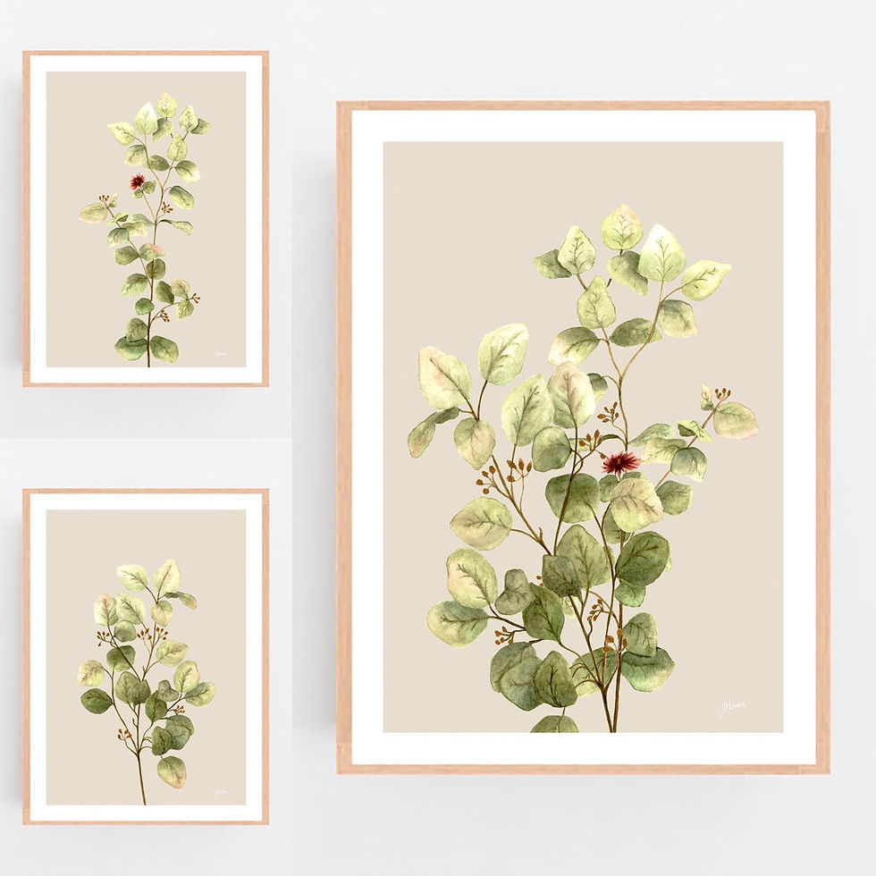 Thumbnail: Eucalyptus Native Living 1 in Ivory Fine Art Print | FRAMED