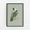 Thumbnail: Magpie Australian Bird in Willow Green Wall Art | CANVAS