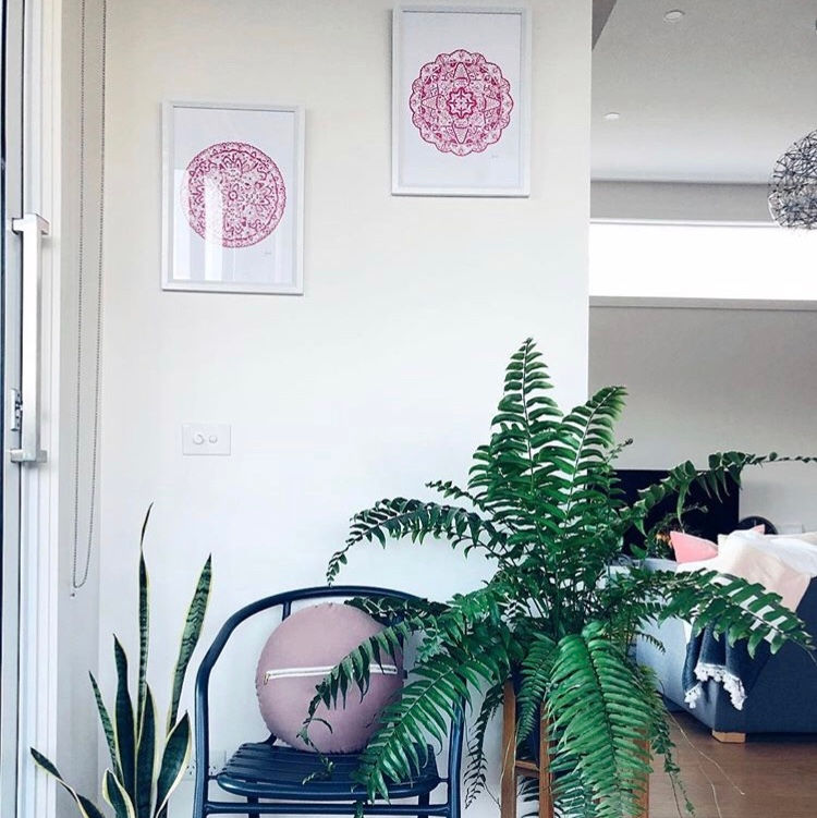Thumbnail: Sahara Mandala Print in Fuchsia