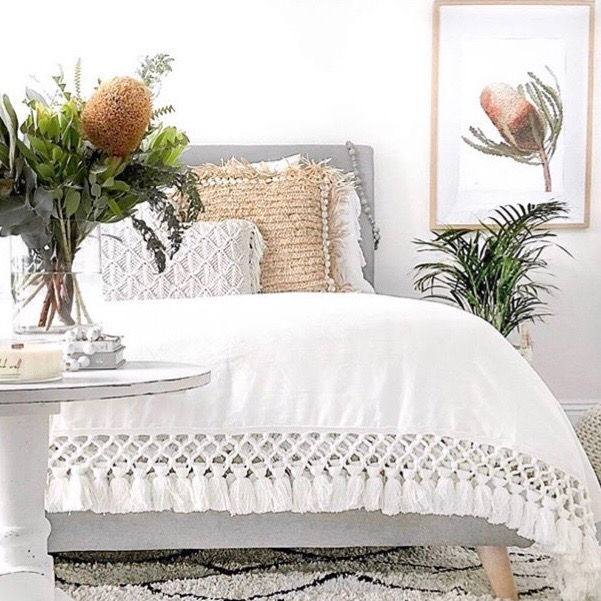 Banksia Native Living Art Flower 1 in White Art Print