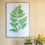 Thumbnail: Lush Fern Living Art Print