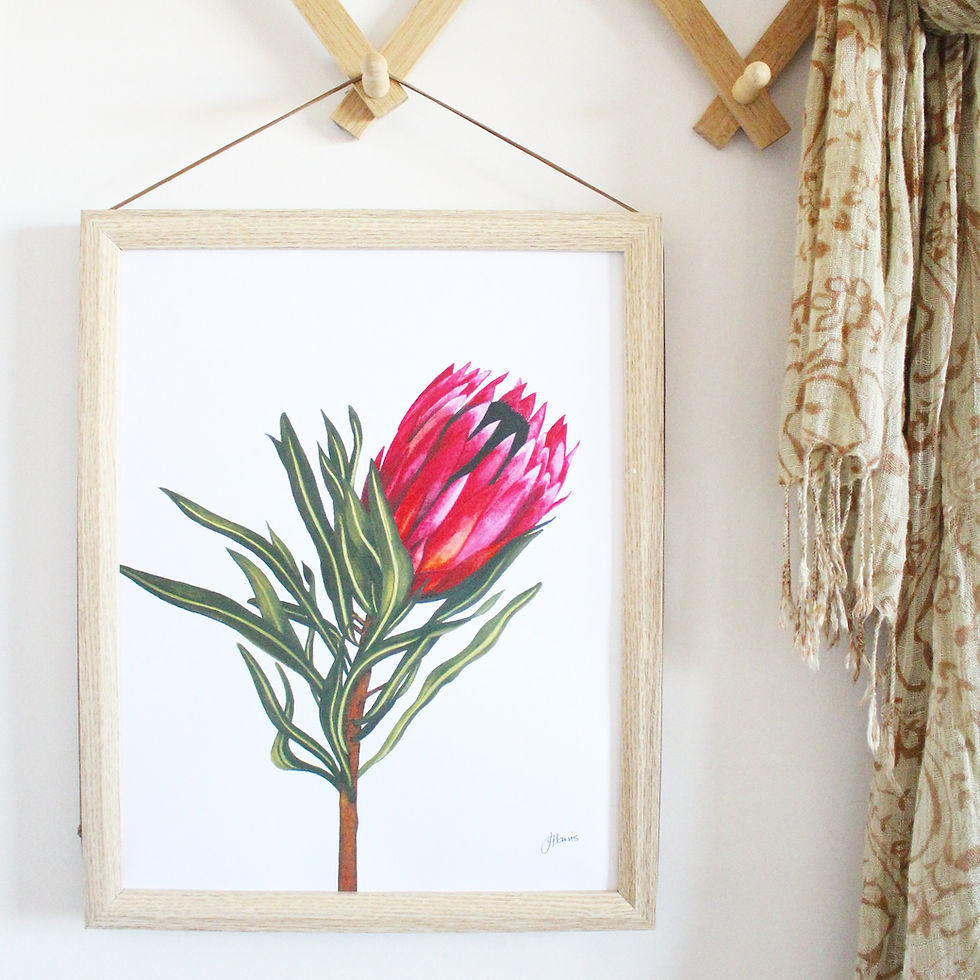 Thumbnail: Protea 2 Living Art Print
