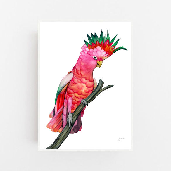 Thumbnail: Mardi the Colourful Cockatoo Print