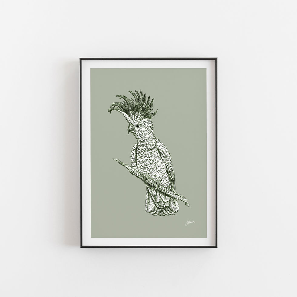 Thumbnail: Sulphur Crested Cockatoo Australian Bird Art Print in Willow Green