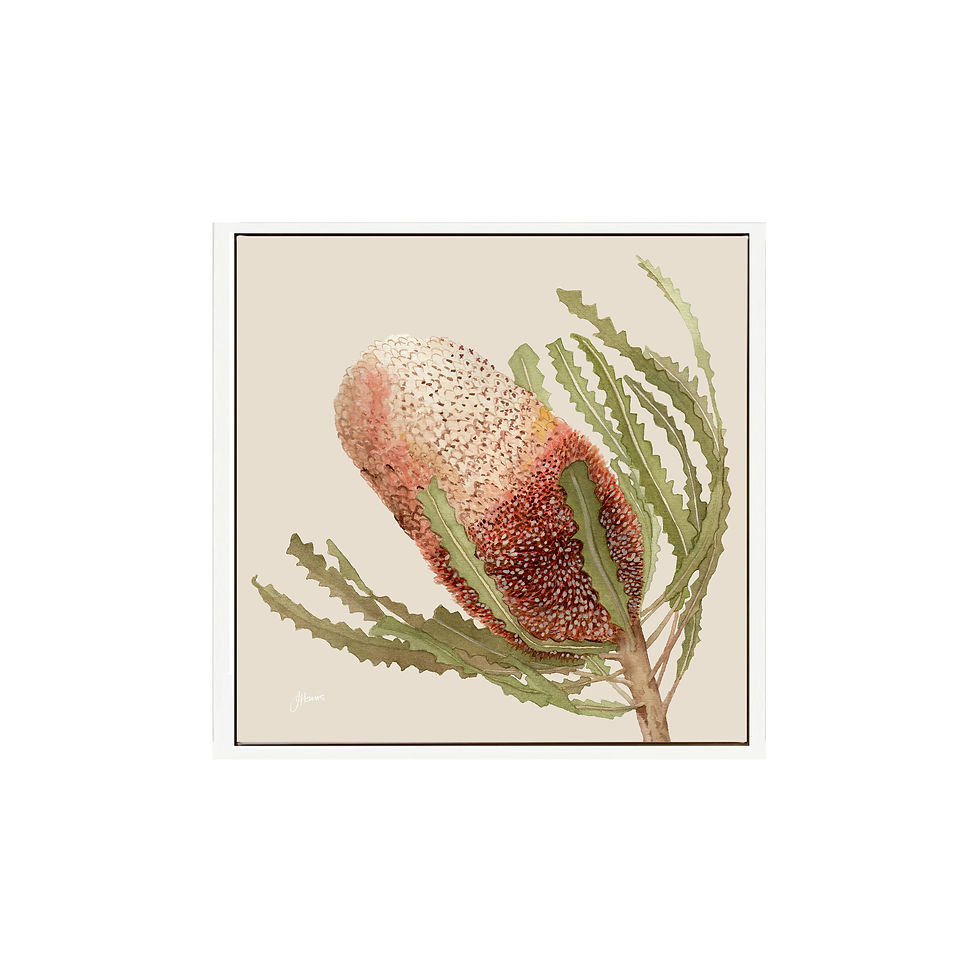 Thumbnail: Banksia Native Living Art Flower 1 in Ivory | CANVAS