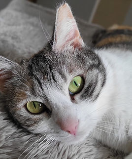 PHOTO-2025-03-31-19-32-43 4.jpg