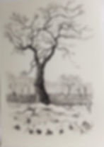 Burnt Tree IV, 2020