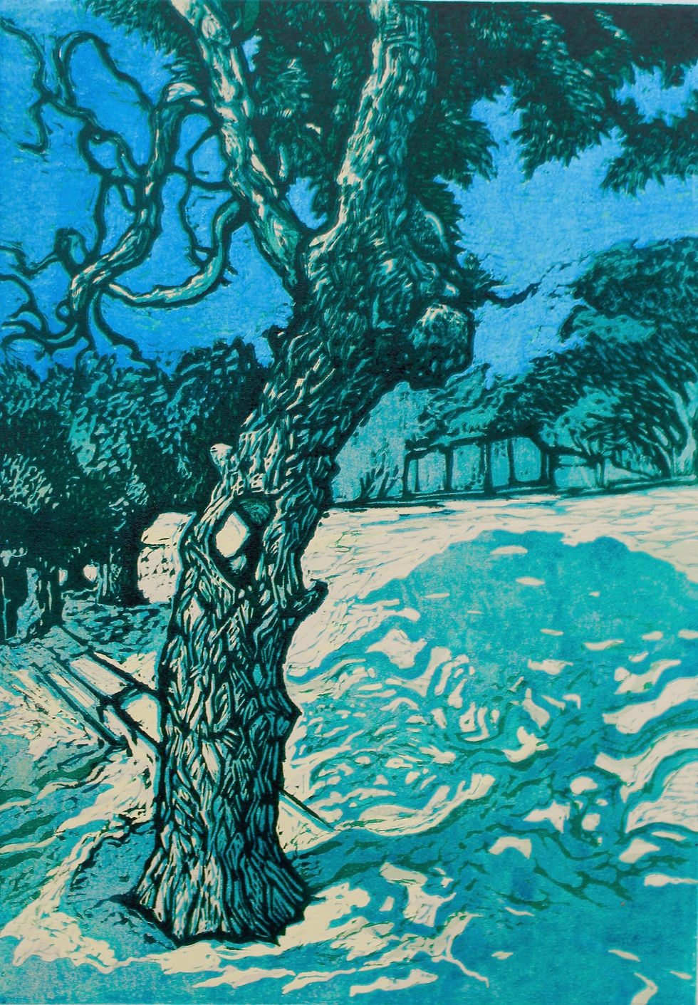 Hardiness_(UrbanTrees) _JohnRoome