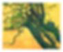 Anguish (Yellow Tree)