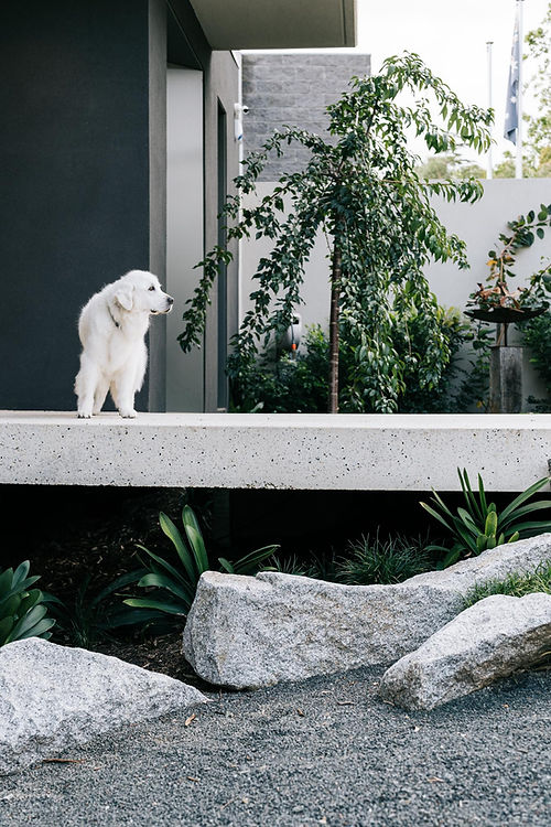 Redmond Street, Kew_low res-18.jpg