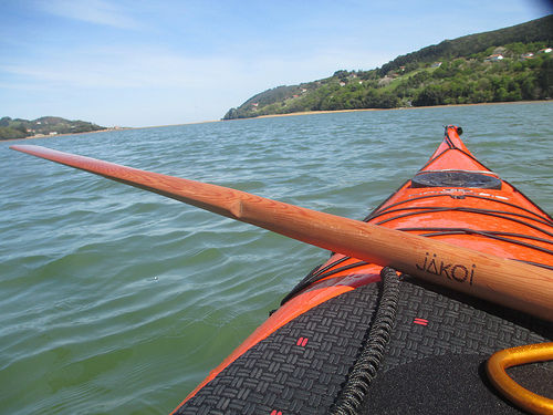 jakoipaddles greenlandpaddles