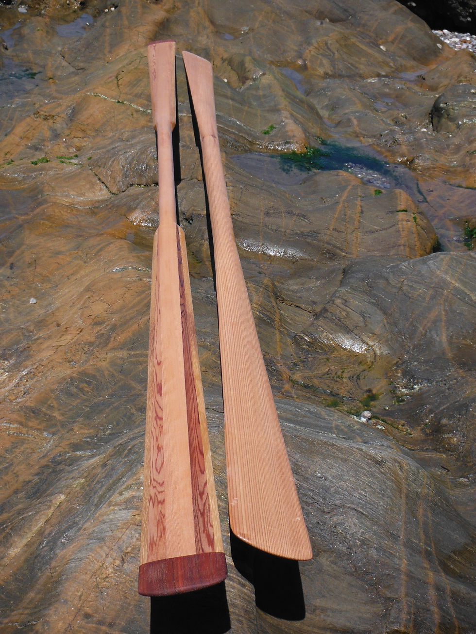 jakoi paddles greenlandpaddles