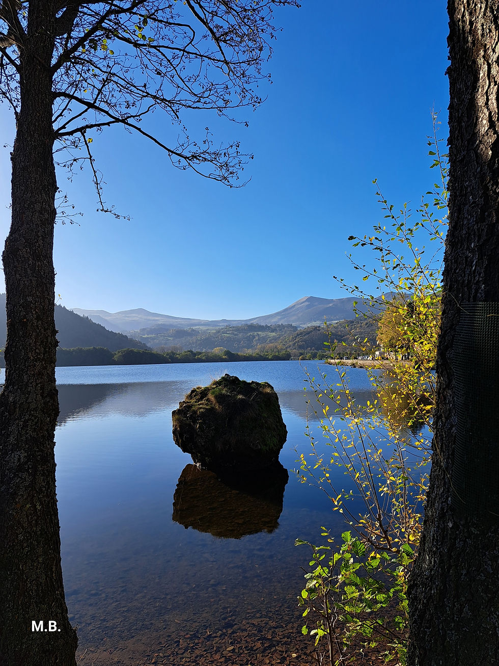 AG 20241102_151824_resized