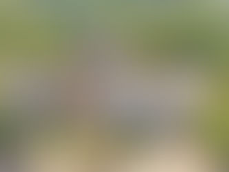 Tour My Newest Listing in Cascades