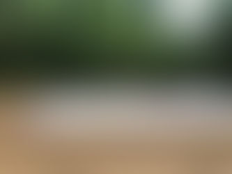 The building has started!